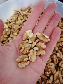 Loupané vlašské ořechy - 2