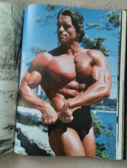 Arnold Schwarzenegger - 2
