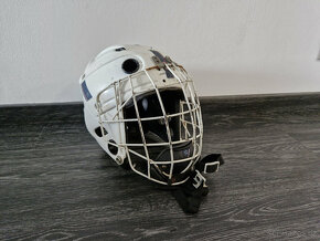 Výbava na lední hokej - chrániče, helma, rukavice - 2