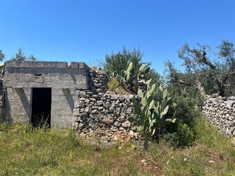 Prodám pozemek 9000m2 7km od moře na jihu Itálie - 2