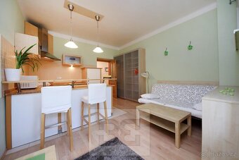 Zařízený 1+kk 27m2 v Nuslích, ev.č. N08007 - 2