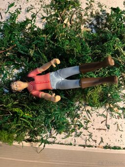 Schleich 4 - 2