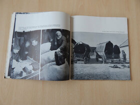 Der Zug der Volksdeutschen aus Bessarabien und dem Nord-Buch - 2