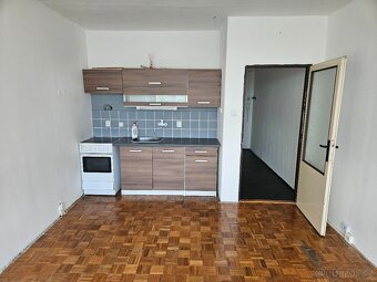 Pronájem bytu 1+kk s balkónem, Holý vrch - 2