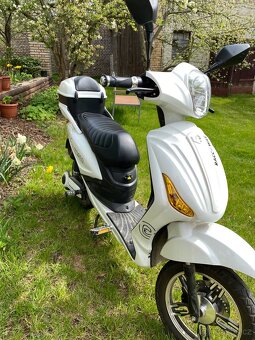 Elektro moped, E- Fichtl Raceaway - 2