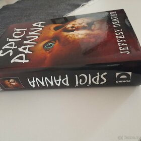 50 odstínů šedi, spící panna - 2