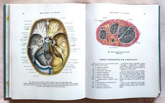 atlas anatomie člověka - 3 díly - 2