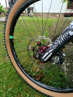 Kellys Noid 90 2017 DH - 2