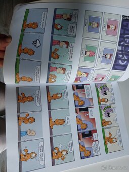 Garfield - 2