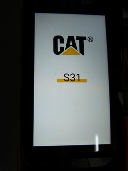 Cat - 2