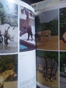 Knihy o příroda, pravěk, dinosauři, zvířata - 2