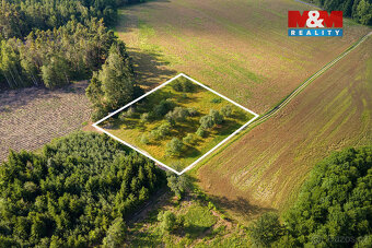 Prodej ovocného sadu v Morašicích - 2