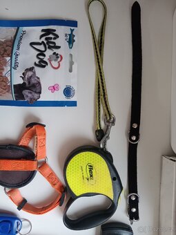 🐾 Výbava pro pejska 🐾 - 2