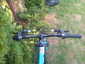 Author Matrix 24" - 2