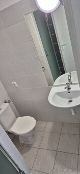 Podnájem byt 1+1 Horka nad Moravou - 2