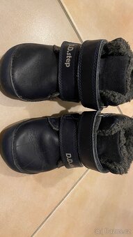 D.D.step vel.23 s dinosaurem - 2