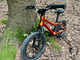 Dětské lehké kolo Rascal 14 - 2