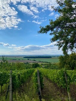 Pozemek s krásným výhledem a chatou - 2