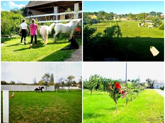 Výnimočná usadlost s dvomi domami - 2