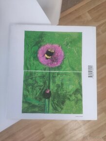 Šumava patafyzická- Faltus, Steigerwald - 2