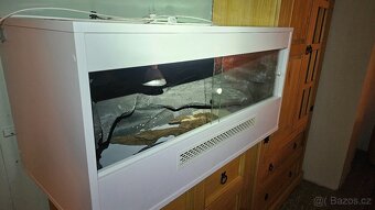 Terárium pro agamu 100×50 - 2