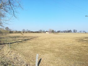 Prodej pozemku, 6615 m², Chotoviny - 2