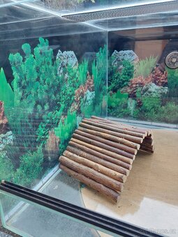 Terárium - želvárium - 2