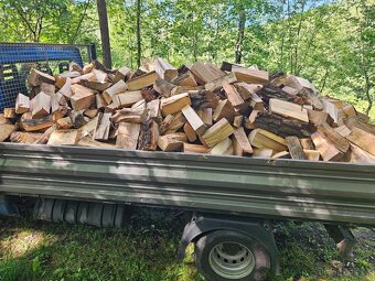 Palivové dřevo tvrdé DUB BUK JAVOR JASAN... štipaný - 2