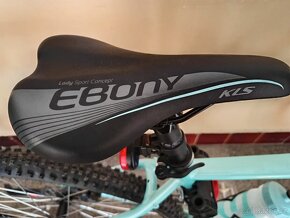 Nové dámské kolo - 2