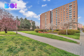 Prodej bytu 1+1, 52 m², ul. Jana Zajíce, Pardubice - Studánk - 2
