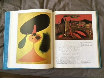 Joan Miro od Walter Erben - 2