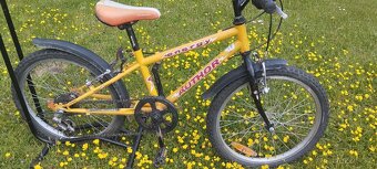 Author Energy 20" - 2