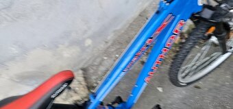 Author 24" A-Matrix - 2