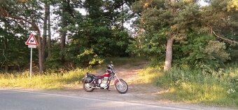 Suzuki Savage LS 650 - 2