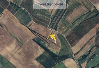 Prodej pole v k.ú. Šardice - 2