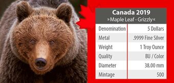 Kanada, 1 unce 2019, Ag 999,9 Grizly, raženo pouze 500 kusů - 2