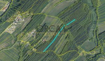 Prodej 1 ha pozemků v k. ú. Pozlovice - 2