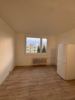 1+KK 19,3 m2 Kostnická - 2