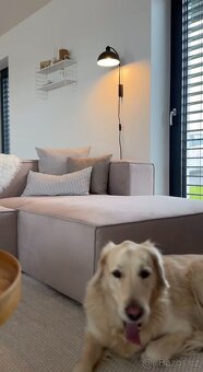 Sedačka Vernon Taupe - 2