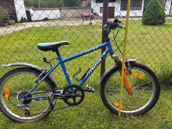 Kolo Author energy - 2