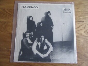 SP Flamengo - Kuře v hodinkách - 2