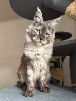 Mainska myvali s PP - 2