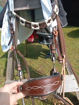 Hackamore drak,uzdečka,oteze - 2