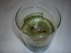 Yankee Candle - Malaysian Palm - 2