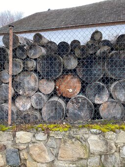 Palivové dřevo - 2