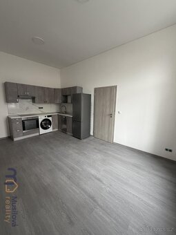 Pronájem bytu 1kk 30 m2 - 2