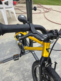 Rascal.16 zlaté - 2