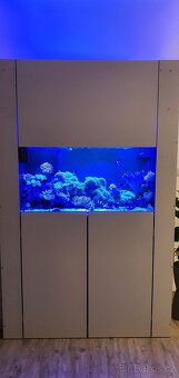 MOŘSKÉ AKVARIUM - 2
