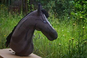 Luxusní hobby horse na prodej - 2