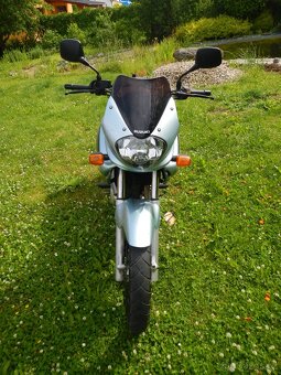 Suzuki XF 650 Freewind - 2